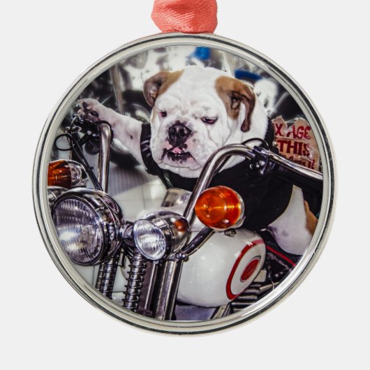 Bulldog op motorfiets metalen ornament (Voorkant)