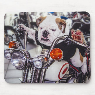 Bulldog op motorfiets muismat