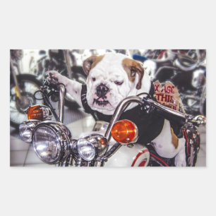 Bulldog op motorfiets rechthoekige sticker