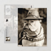 Bulldog op patrouille met pet en capsule briefkaart (Voorkant / Achterkant)