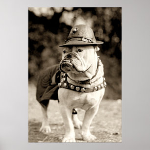 Bulldog op patrouille met pet en capsule poster
