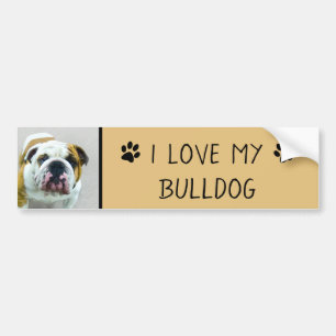 Bulldog Painting - Cute Original Dog Art Bumpersticker