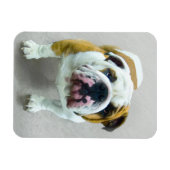 Bulldog Painting - Cute Original Dog Art Magneet (Horizontaal)
