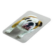 Bulldog Painting - Cute Original Dog Art Magneet (Linkerzijde)