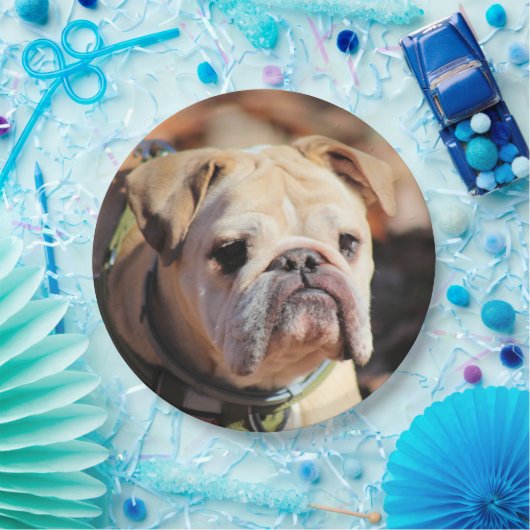 Bulldog Papieren Bordje (Feest)