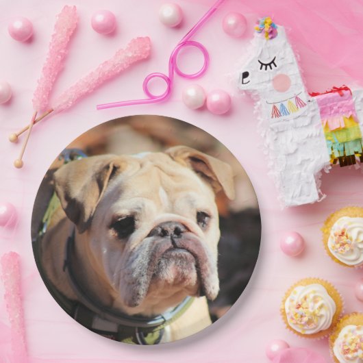 Bulldog Papieren Bordje (Feest)
