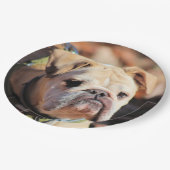 Bulldog Papieren Bordje (Gekanteld)