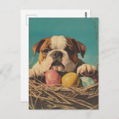 Bulldog  Pasen Briefkaart (Voorkant / Achterkant)