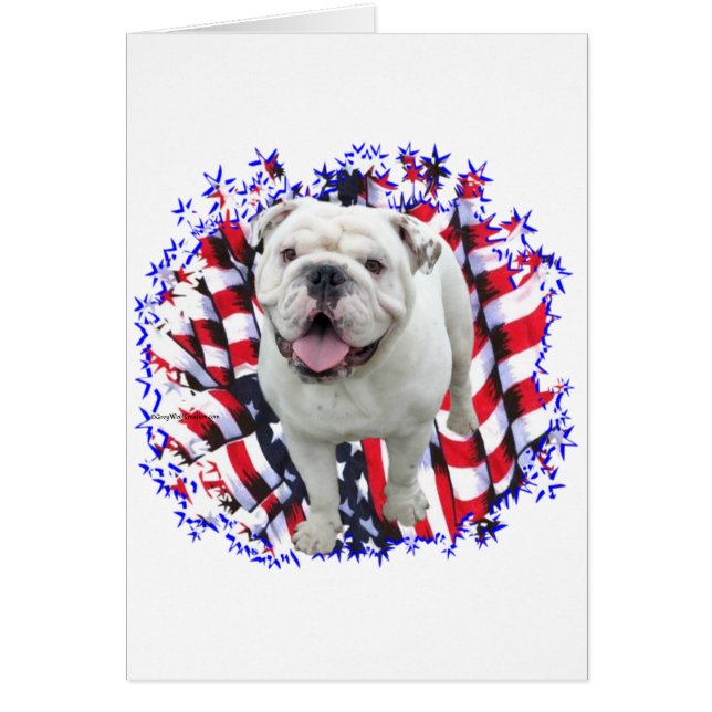 Bulldog Patriot (Voorkant)