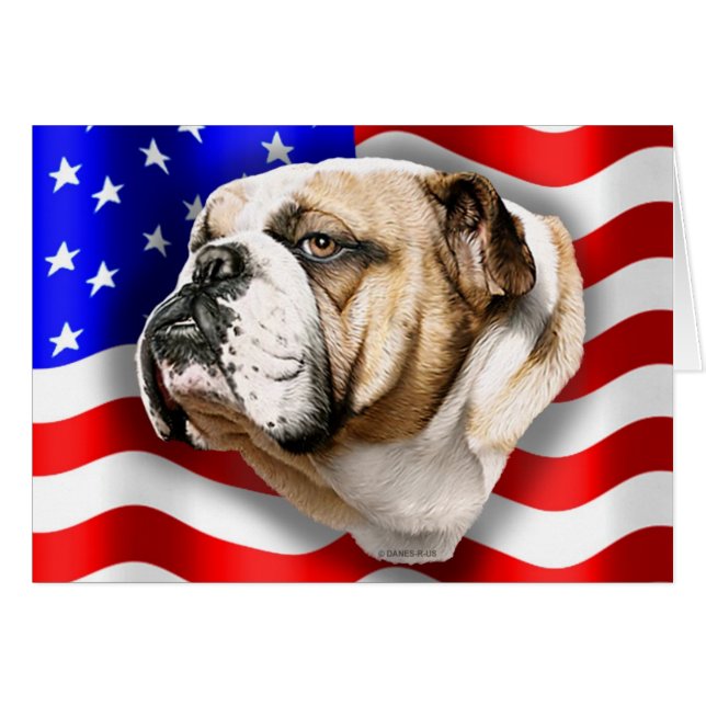 Bulldog Patriot US Flag (Voorkant Horizontaal)