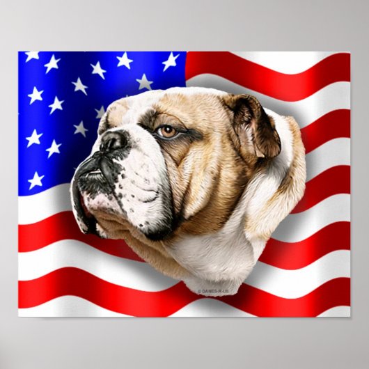 Bulldog Patriot US Flag Poster (Voorkant)