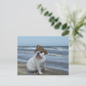 Bulldog Pirate op het strand Briefkaart (Staand voorkant)