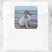 Bulldog pirate vierkante sticker (Tas)