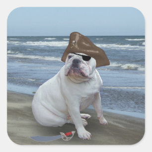 Bulldog pirate vierkante sticker