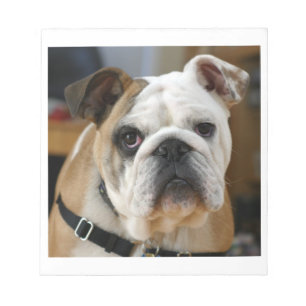 Bulldog.png Notitieblok