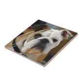 Bulldog.png Tegeltje (Zijkant)