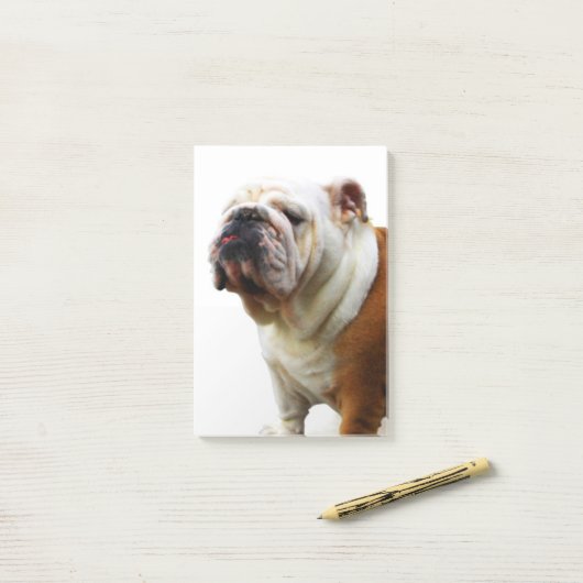 Bulldog Post-it® Notes (Op bureau)