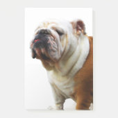 Bulldog Post-it® Notes (Voorkant)