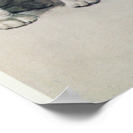 Bulldog Poster (Hoek)