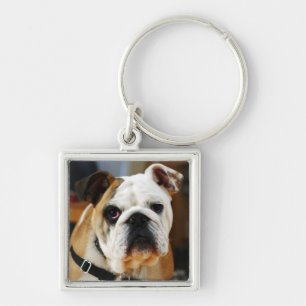 Bulldog Premium-Sleutelhanger Sleutelhanger