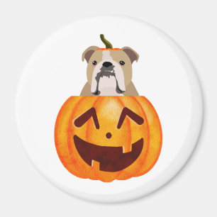 Bulldog Pumpkin Magneet