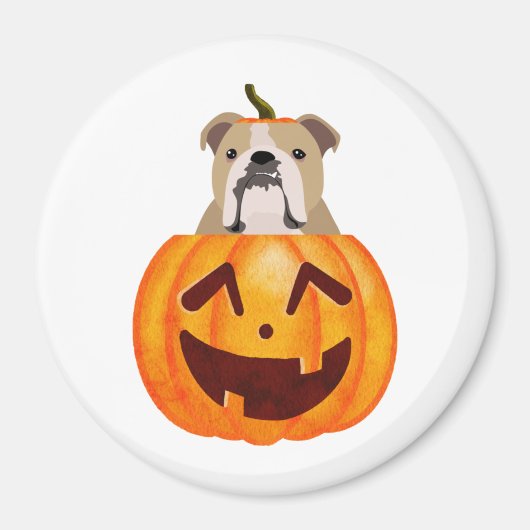 Bulldog Pumpkin Magneet (Voorkant)