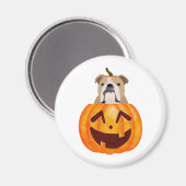 Bulldog Pumpkin Magneet (Voorkant / Achterkant)