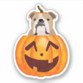 Bulldog Pumpkin Sticker (Voorkant)