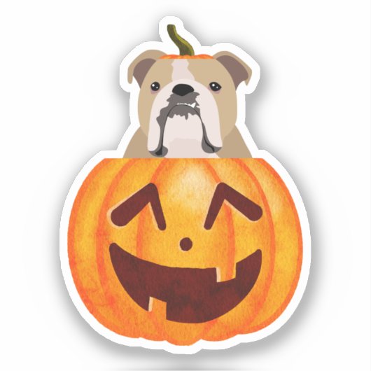 Bulldog Pumpkin-Sticker Sticker (Voorkant)