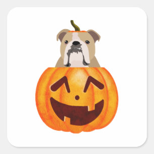 Bulldog Pumpkin Vierkante Sticker