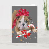 Bulldog pup met rode strik Kerst Kaart (Voorkant)