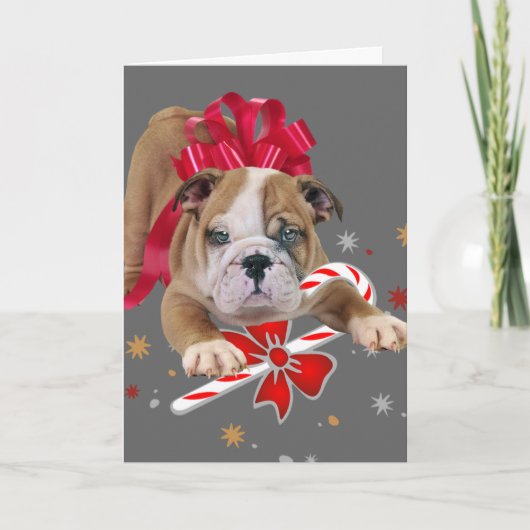 Bulldog pup met rode strik Kerst Kaart (Voorkant)