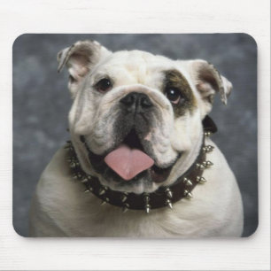 Bulldog Puppies Hond Met Spike Harnas Muismat