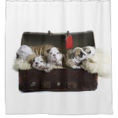 Bulldog-Puppies in een koffertas met bulletphondes Douchegordijn (Voorkant)