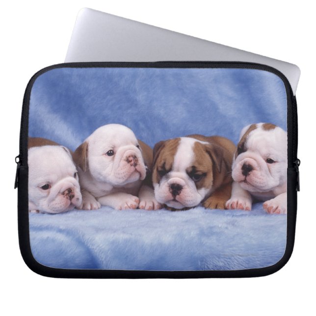 Bulldog puppies laptop sleeve (Voorkant)