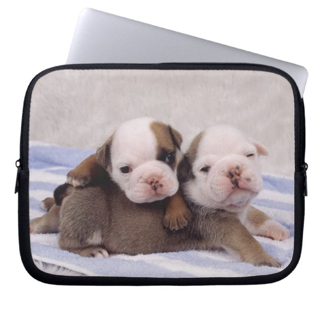 Bulldog Puppies Laptop Sleeve (Voorkant)