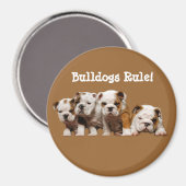 Bulldog Puppies magneet (Voorkant / Achterkant)