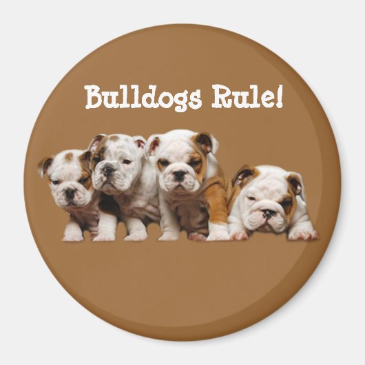 Bulldog Puppies magneet (Voorkant)