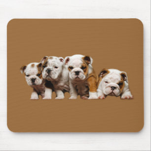 Bulldog Puppies Mousepad Muismat