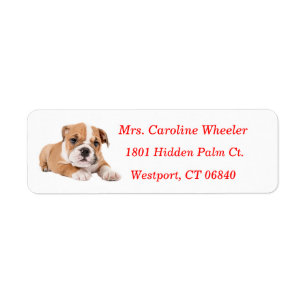 Bulldog Puppies Retouradres Rood Naam Etiket
