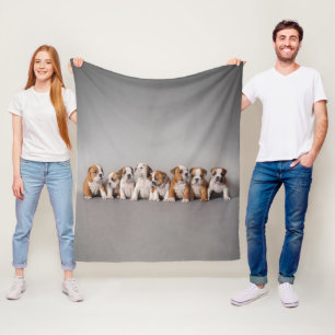 Bulldog Puppies Schattige Engels Bulldog Puppies Fleece Deken