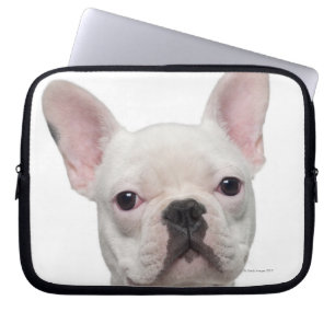 Bulldog Puppy (5 maanden oud) Laptop Sleeve