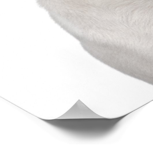 Bulldog Puppy (5 maanden oud) Poster (Hoek)