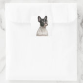 Bulldog puppy (5 maanden oud) vierkante sticker (Tas)