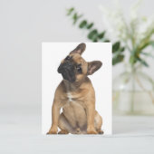 Bulldog puppy (7 maanden oud) briefkaart (Staand voorkant)