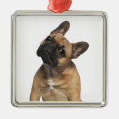 Bulldog puppy (7 maanden oud) metalen ornament (Voorkant)