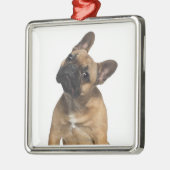 Bulldog puppy (7 maanden oud) metalen ornament (Links)