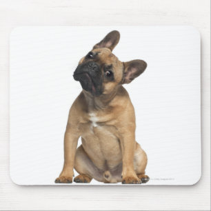 Bulldog puppy (7 maanden oud) muismat