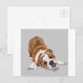 Bulldog Puppy bij Play Briefkaart (Voorkant / Achterkant)