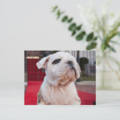 Bulldog Puppy Briefkaart (Staand voorkant)